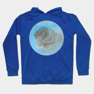 Zodiac sign aries Hoodie